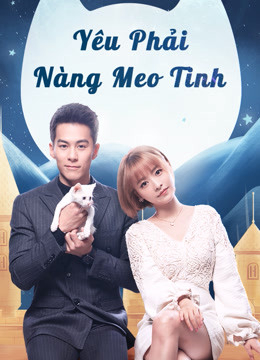 Yêu Phải Nàng Meo Tinh